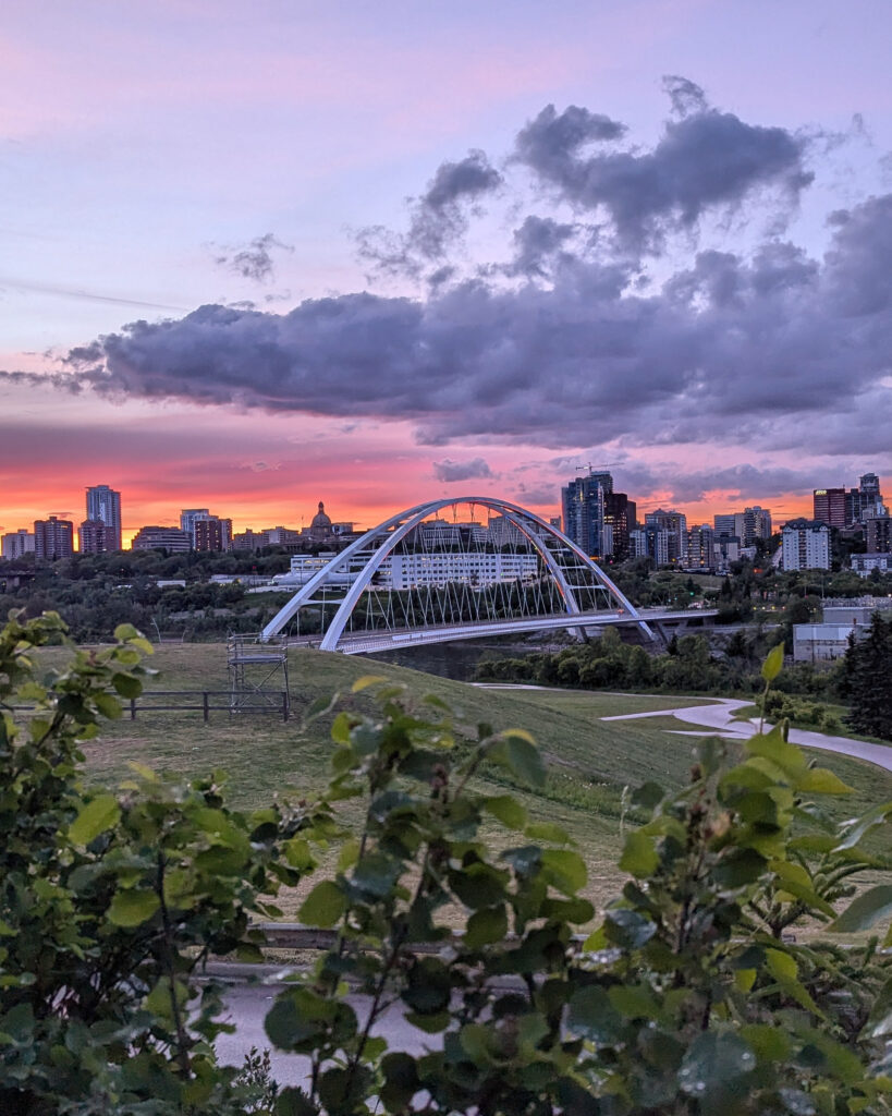 Dental Clinic Marketing Edmonton